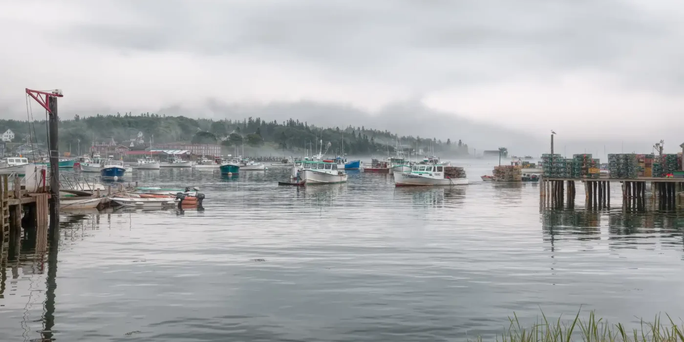 Exploring the Serene Fishing Havens of the United Kingdom in July